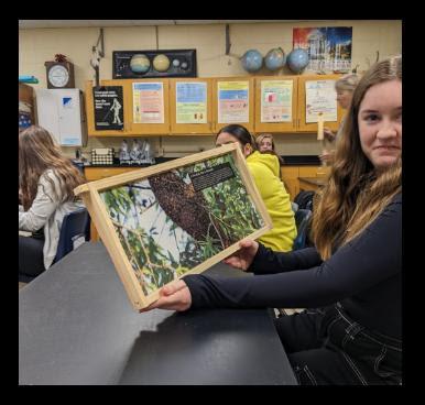 RHS students learn about pollination from a bee keeper